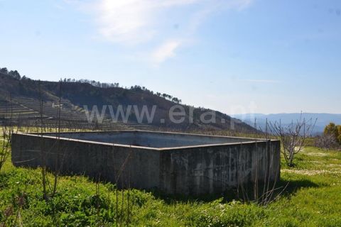 Tomt i Fundao, Castelo Branco, Fundao - € 47 500 | Ref: 255210045 - foto 16