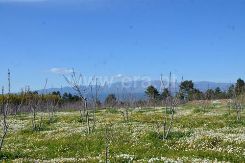 Tomt i Fundao, Castelo Branco, Fundao - € 47 500 | Ref: 255210045 - foto 18