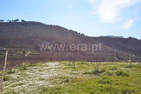 Tomt i Fundao, Castelo Branco, Fundao - € 47 500 | Ref: 255210045 - foto 19