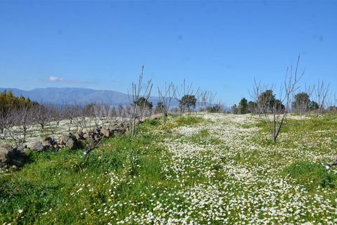 Tomt i Fundao, Castelo Branco, Fundao - € 47 500 | Ref: 255210045 - foto 20