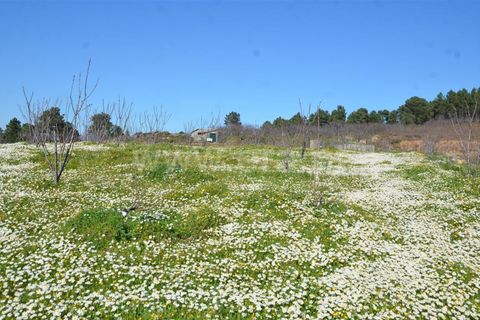 Tomt i Fundao, Castelo Branco, Fundao - € 47 500 | Ref: 255210045 - foto 21