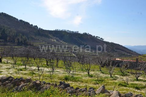 Tomt i Fundao, Castelo Branco, Fundao - € 47 500 | Ref: 255210045 - foto 22
