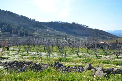 Tomt i Fundao, Castelo Branco, Fundao - € 47 500 | Ref: 255210045 - foto 23
