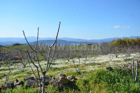Tomt i Fundao, Castelo Branco, Fundao - € 47 500 | Ref: 255210045 - foto 24