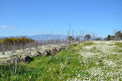 Tomt i Fundao, Castelo Branco, Fundao - € 47 500 | Ref: 255210045 - foto 25