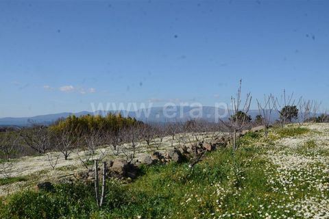 Tomt i Fundao, Castelo Branco, Fundao - € 47 500 | Ref: 255210045 - foto 26
