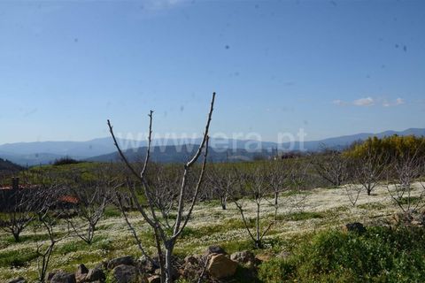 Tomt i Fundao, Castelo Branco, Fundao - € 47 500 | Ref: 255210045 - foto 27