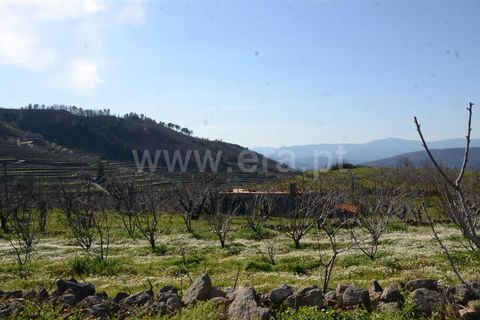 Tomt i Fundao, Castelo Branco, Fundao - € 47 500 | Ref: 255210045 - foto 28