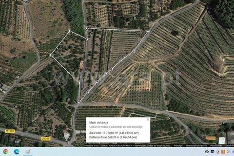 Tomt i Fundao, Castelo Branco, Fundao - € 47 500 | Ref: 255210045 - foto 29