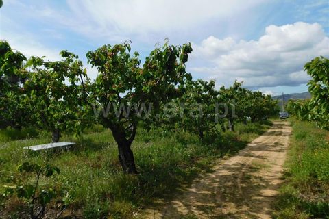 Landejendom i Fundao, Castelo Branco, Fundao - € 72.500 | Ref: 255210058 - foto 5