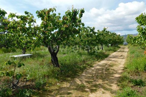 Landejendom i Fundao, Castelo Branco, Fundao - € 72.500 | Ref: 255210058 - foto 6