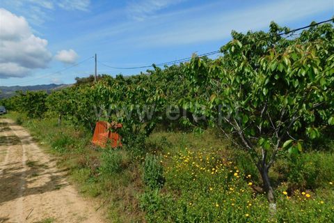 Landejendom i Fundao, Castelo Branco, Fundao - € 72.500 | Ref: 255210058 - foto 8