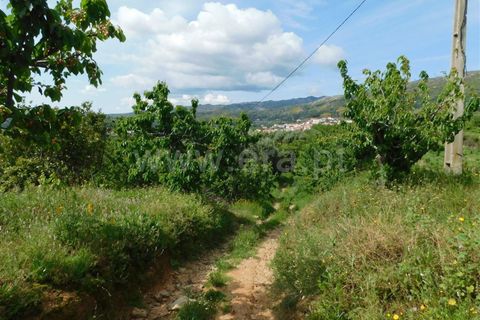 Landejendom i Fundao, Castelo Branco, Fundao - € 72.500 | Ref: 255210058 - foto 9