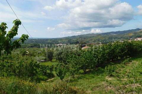 Landejendom i Fundao, Castelo Branco, Fundao - € 72.500 | Ref: 255210058 - foto 12