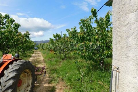 Landejendom i Fundao, Castelo Branco, Fundao - € 72.500 | Ref: 255210058 - foto 13