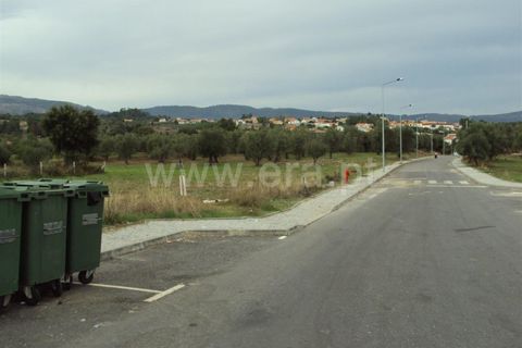 Tomt i Fundao, Castelo Branco, Fundao - € 26 000 | Ref: 111130605 - foto 2