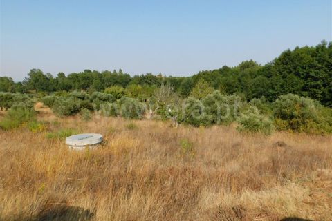 Helårsgrund i Fundao, Castelo Branco, Fundao - € 8.000 | Ref: 255170249 - foto 2