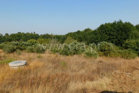 Helårsgrund i Fundao, Castelo Branco, Fundao - € 8.000 | Ref: 255170249 - foto 3