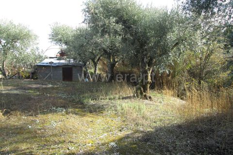 Helårsgrund i Fundao, Castelo Branco, Fundao - € 22.500 | Ref: 255170284 - foto 2