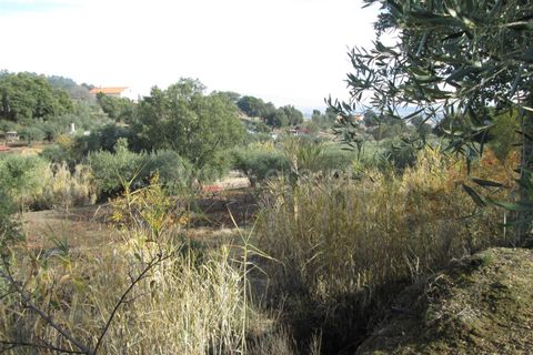 Helårsgrund i Fundao, Castelo Branco, Fundao - € 22.500 | Ref: 255170284 - foto 4