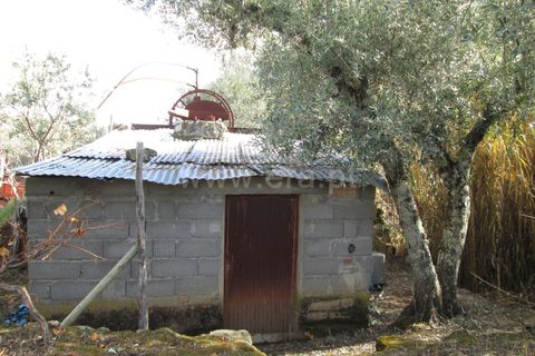 Helårsgrund i Fundao, Castelo Branco, Fundao - € 22.500 | Ref: 255170284 - foto 7
