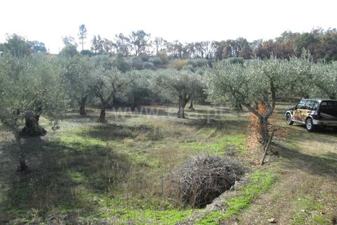 Helårsgrund i Fundao, Castelo Branco, Fundao - € 22.500 | Ref: 255170284 - foto 9