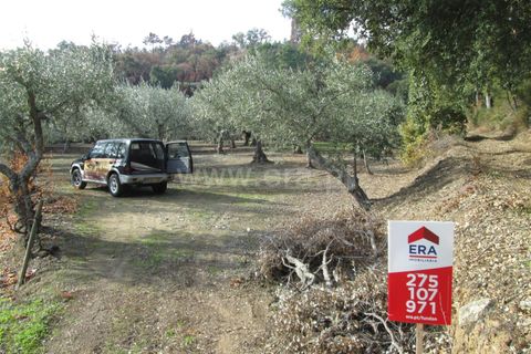 Helårsgrund i Fundao, Castelo Branco, Fundao - € 22.500 | Ref: 255170284 - foto 10