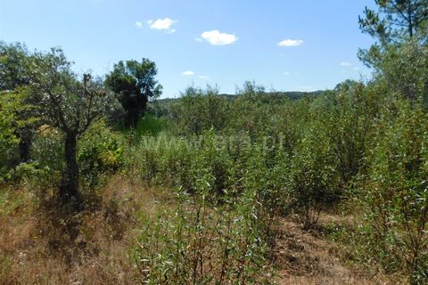 Helårsgrund i Fundao, Castelo Branco, Fundao - € 10.000 | Ref: 255210080 - foto 2