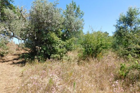 Helårsgrund i Fundao, Castelo Branco, Fundao - € 10.000 | Ref: 255210080 - foto 3