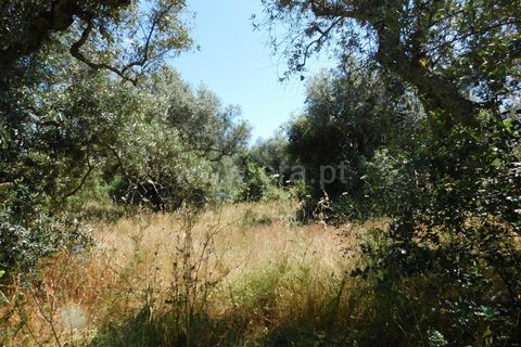 Helårsgrund i Fundao, Castelo Branco, Fundao - € 10.000 | Ref: 255210080 - foto 4