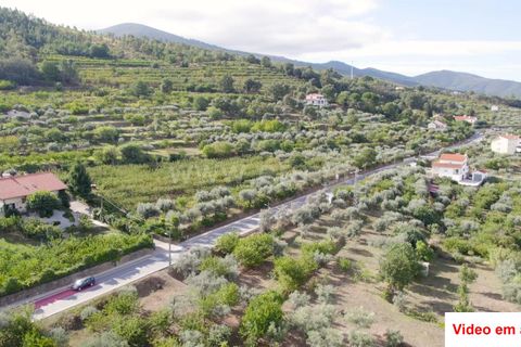 Helårsgrund i Fundao, Castelo Branco, Fundao - € 320.000 | Ref: 255220184 - foto 2