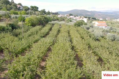 Helårsgrund i Fundao, Castelo Branco, Fundao - € 320.000 | Ref: 255220184 - foto 3