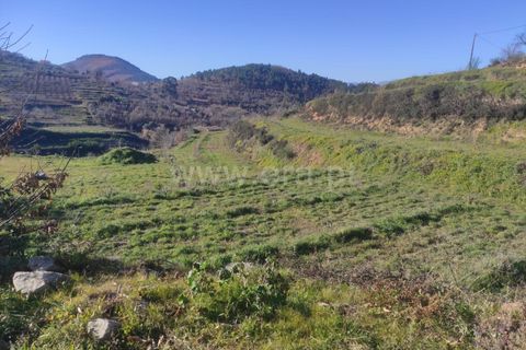 Helårsgrund i Fundao, Castelo Branco, Fundao - € 55.000 | Ref: 255230024 - foto 3