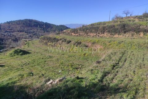 Helårsgrund i Fundao, Castelo Branco, Fundao - € 55.000 | Ref: 255230024 - foto 4