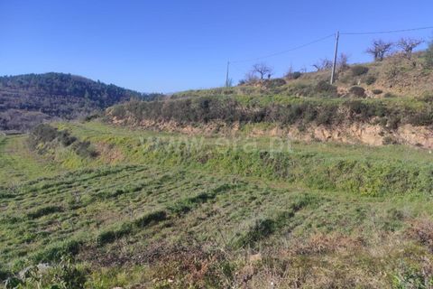 Helårsgrund i Fundao, Castelo Branco, Fundao - € 55.000 | Ref: 255230024 - foto 5