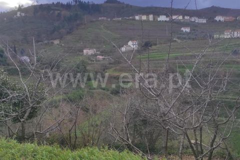 Helårsgrund i Fundao, Castelo Branco, Fundao - € 55.000 | Ref: 255230024 - foto 6