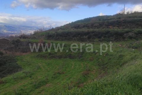 Helårsgrund i Fundao, Castelo Branco, Fundao - € 55.000 | Ref: 255230024 - foto 7
