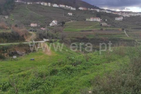 Helårsgrund i Fundao, Castelo Branco, Fundao - € 55.000 | Ref: 255230024 - foto 8