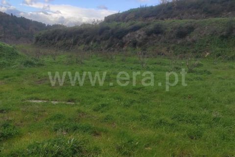 Helårsgrund i Fundao, Castelo Branco, Fundao - € 55.000 | Ref: 255230024 - foto 9