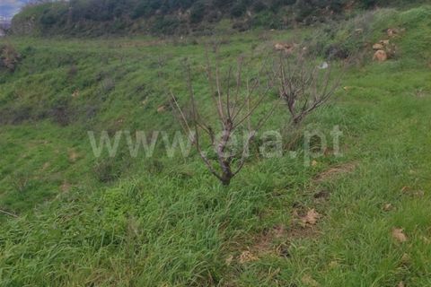 Helårsgrund i Fundao, Castelo Branco, Fundao - € 55.000 | Ref: 255230024 - foto 11