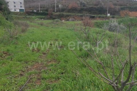 Helårsgrund i Fundao, Castelo Branco, Fundao - € 55.000 | Ref: 255230024 - foto 12