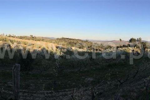 Helårsgrund i Fundao, Castelo Branco, Fundao - € 47.500 | Ref: 255230053 - foto 3