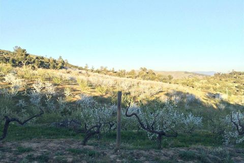 Helårsgrund i Fundao, Castelo Branco, Fundao - € 47.500 | Ref: 255230053 - foto 4
