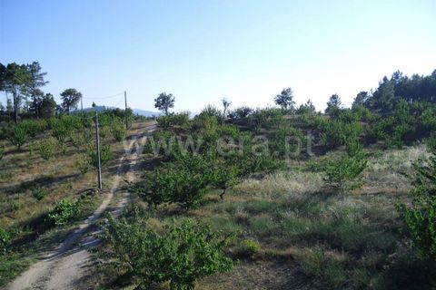 Helårsgrund i Fundao, Castelo Branco, Fundao - € 47.500 | Ref: 255230053 - foto 5