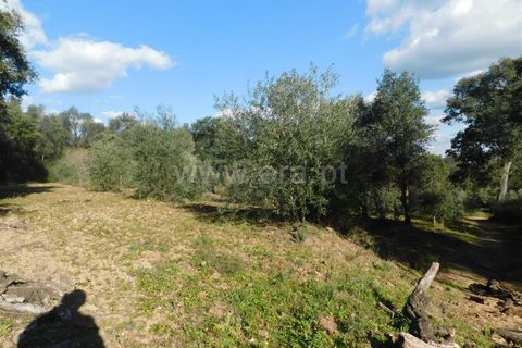 Helårsgrund i Fundao, Castelo Branco, Fundao - € 24.500 | Ref: 255230030 - foto 2