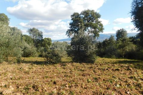 Helårsgrund i Fundao, Castelo Branco, Fundao - € 24.500 | Ref: 255230030 - foto 4