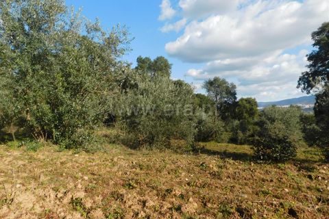 Helårsgrund i Fundao, Castelo Branco, Fundao - € 24.500 | Ref: 255230030 - foto 5