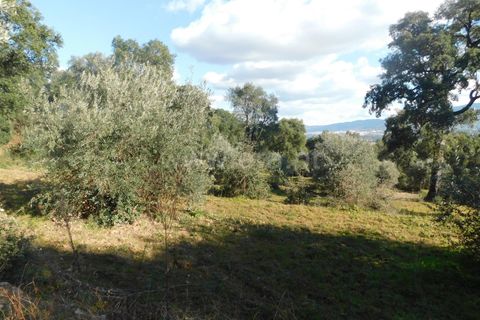 Helårsgrund i Fundao, Castelo Branco, Fundao - € 24.500 | Ref: 255230030 - foto 6