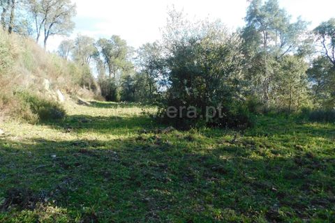 Helårsgrund i Fundao, Castelo Branco, Fundao - € 24.500 | Ref: 255230030 - foto 10
