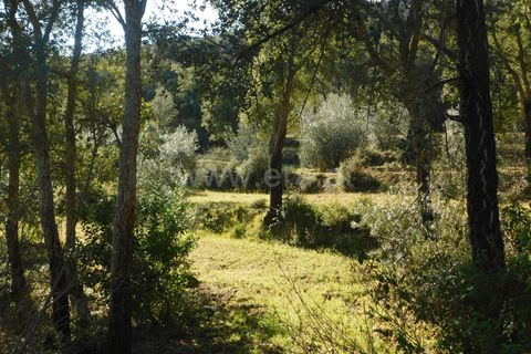 Helårsgrund i Fundao, Castelo Branco, Fundao - € 24.500 | Ref: 255230030 - foto 11